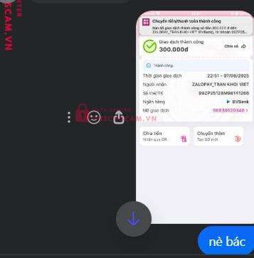 99ZP25128M98141266 TRAN KHOI VIET BV Bank bị cảnh báo lừa đảo scam