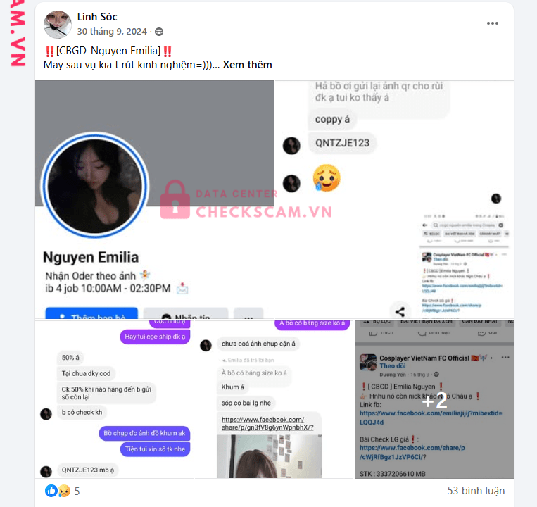 18913931 Hong Thi Thanh Thao ACB bị cảnh báo lừa đảo scam