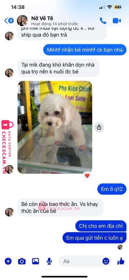 0384736903 Nguyen Van Tanh MB bị cảnh báo lừa đảo scam